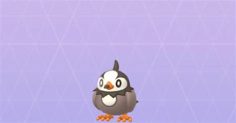 starly moveset|Iba pa.